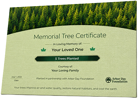 Plant Trees in Memory of Little Miss Michelle Christina Murph